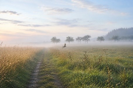 Trauerbegleitung und Gesprächskreis